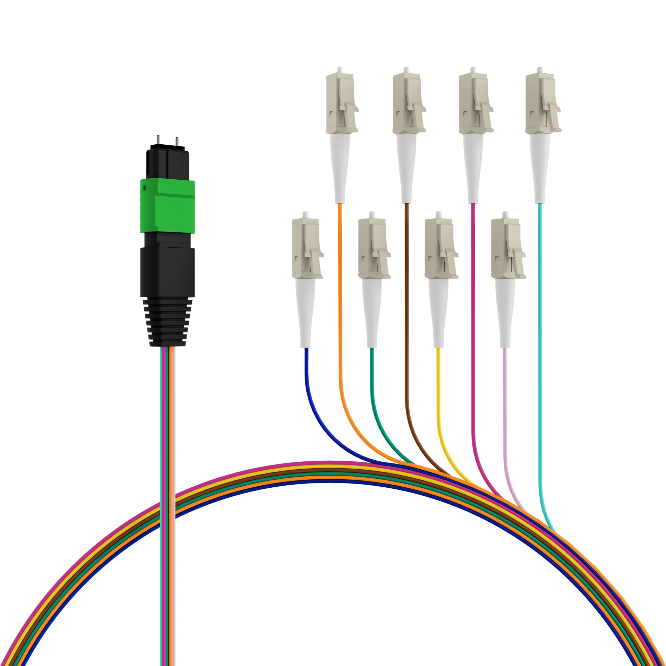 MPO Fanout Cables